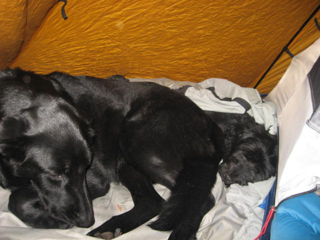Lewis and Jessie sleeping in the tent
