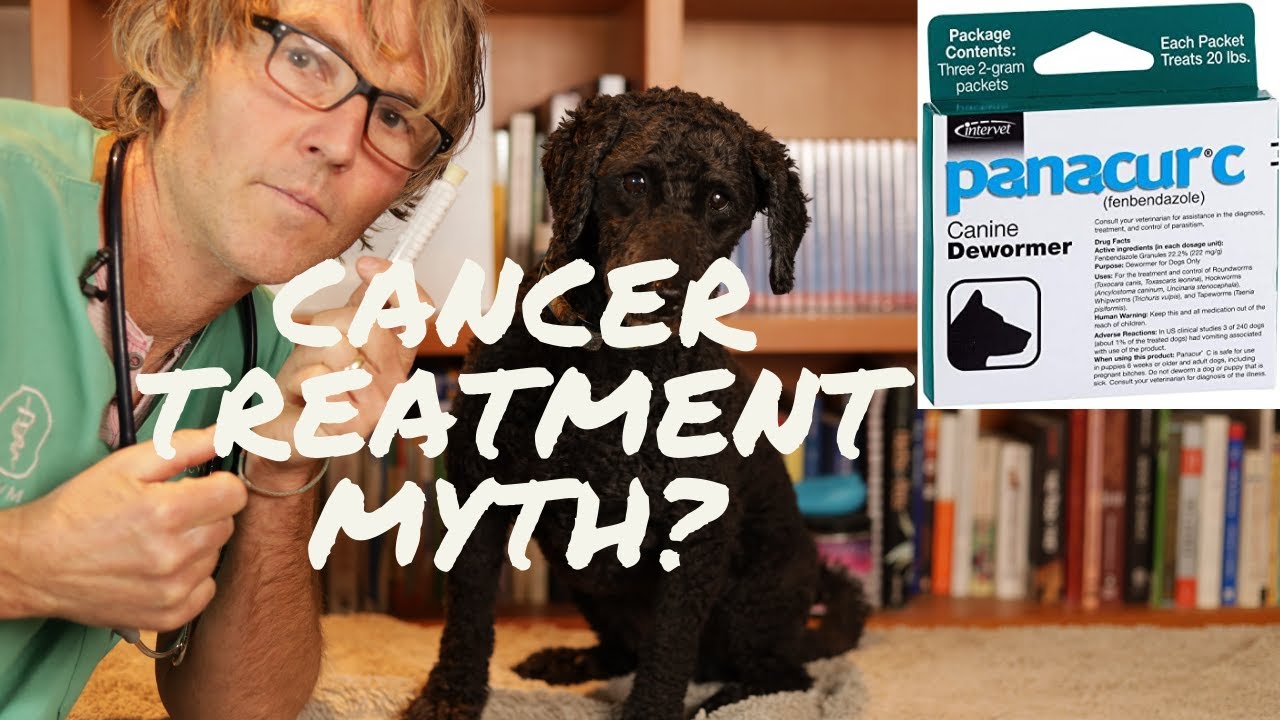 [FALSE?] Panacur for Cancer Veterinary Secrets Blog with Dr. Andrew