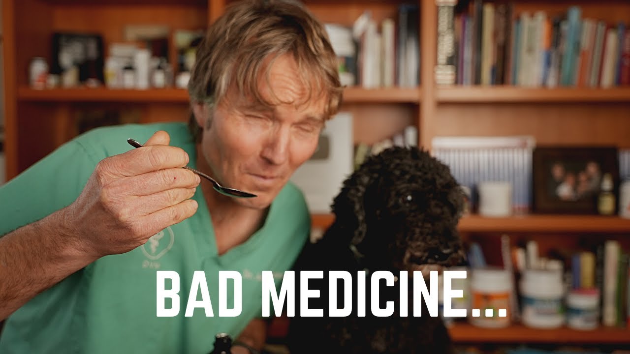 Stop Using This OTC Medicine for Dog Coughing: A new, Safe and Effective Natural Option
