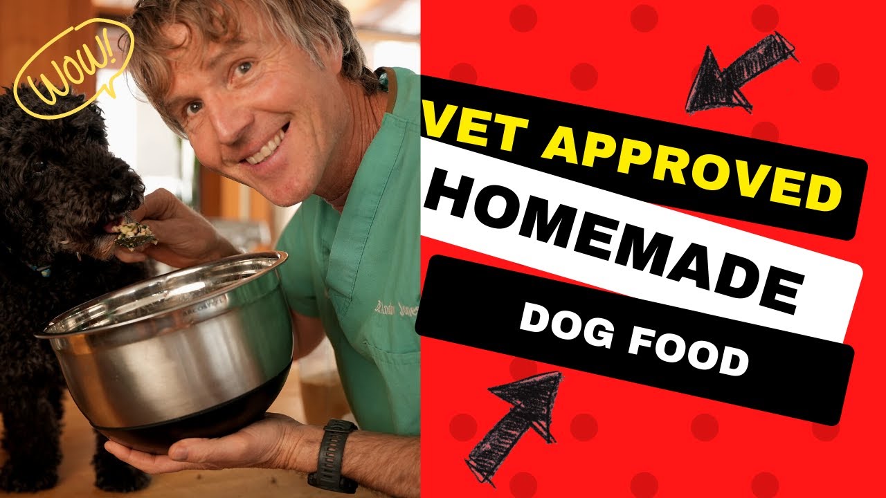 Vet Approved Homemade Dog Food: Good for Digestive Issues