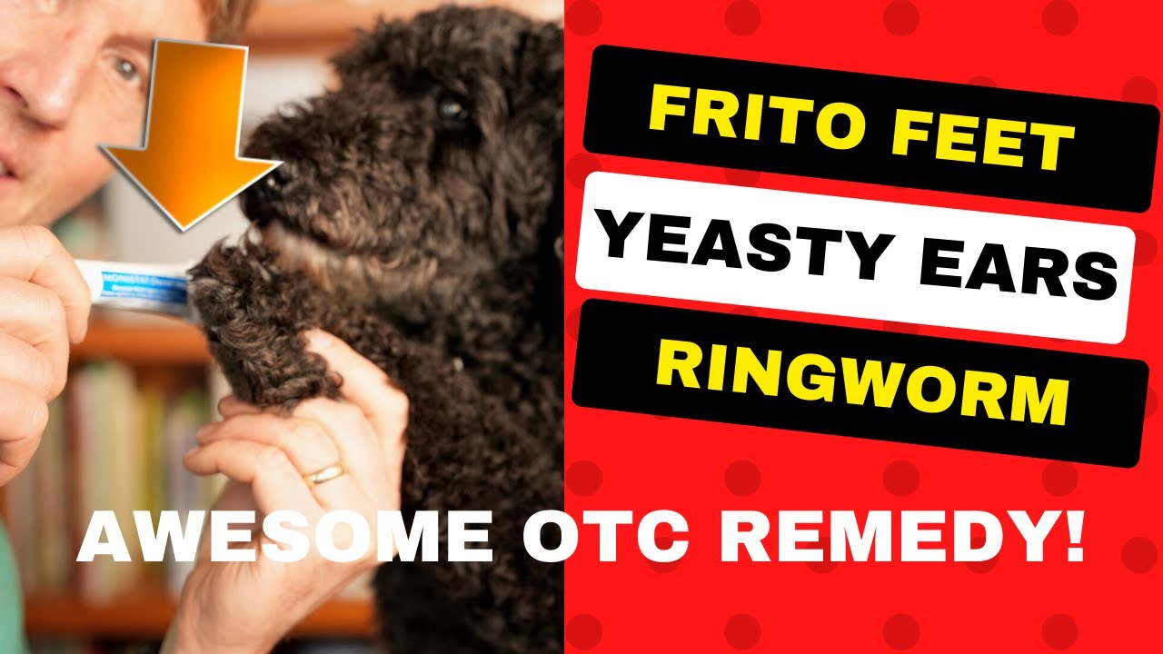 Paw Licking, Ear Scratching, Ringworm: Simple and Cheap OTC Remedy