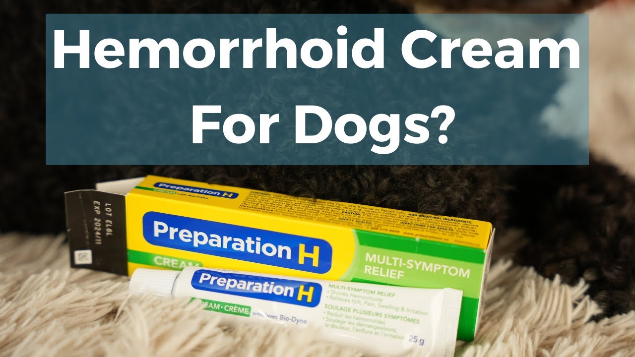 Home Remedies: Hemorrhoid Cream for Dogs