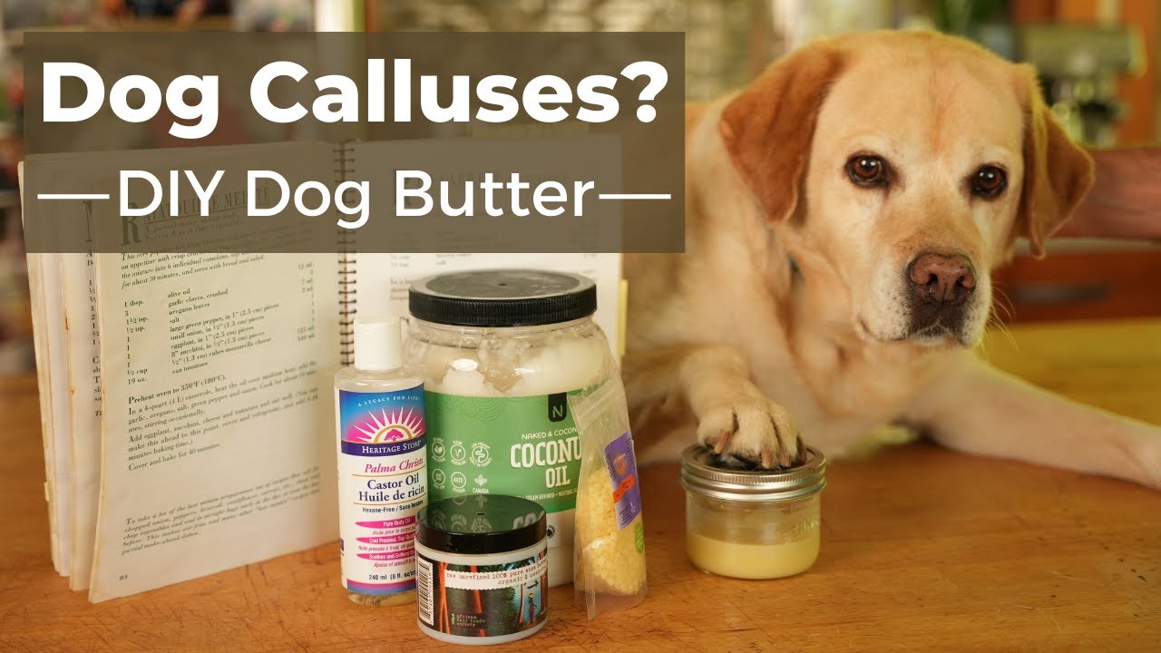 DIY Dog Butter For Calluses