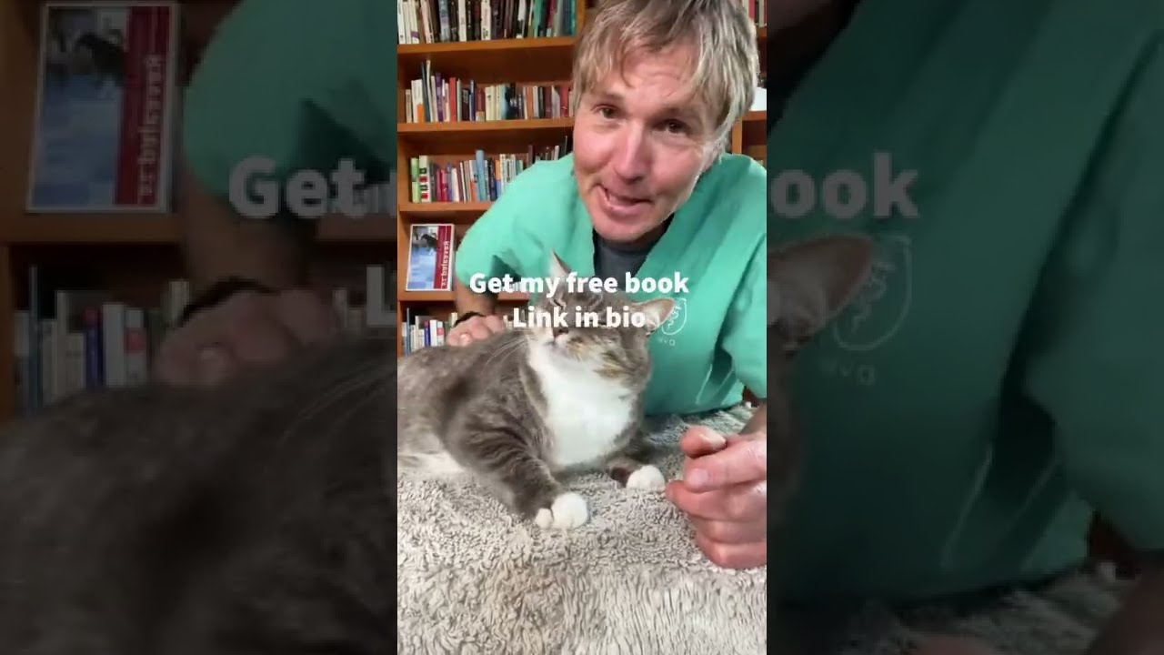 Cat Reverse Sneezing?