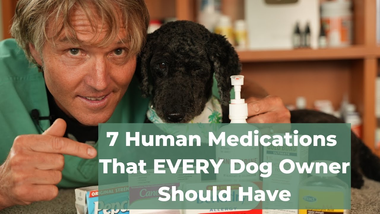 7 OTC Human Medications Safe and Effective for Dogs