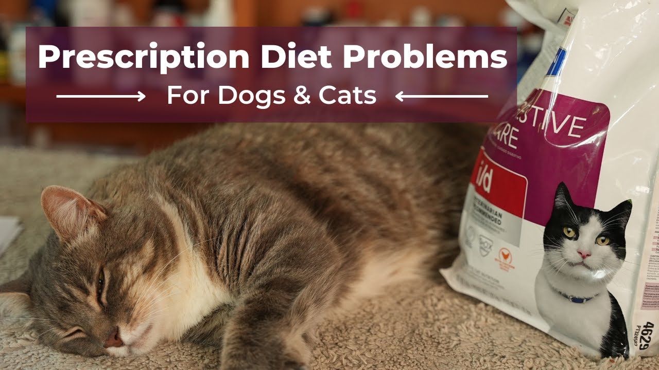 Veterinary Prescription Diet Problems